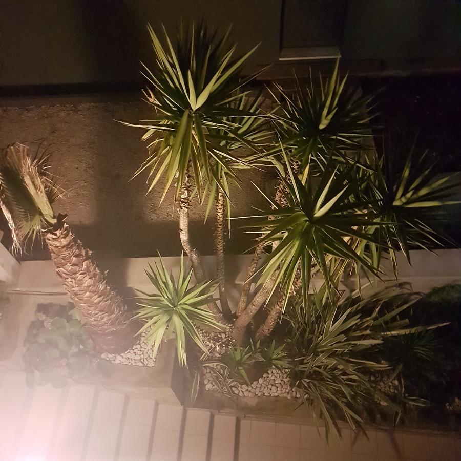 Jelena Apartament Zadar
