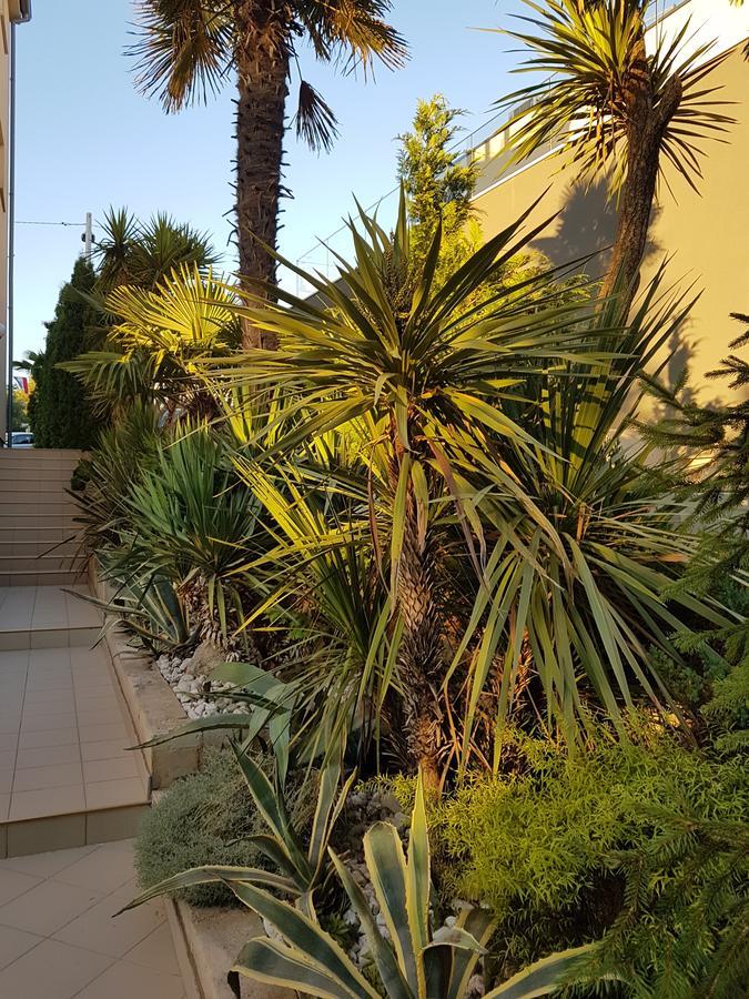 Apartment Jelena Zadar